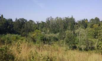 Imagem 2: Sitio com 4.500 metros na parada 76 da RS-20 com açude.. Localizado no Loteamento Palermo