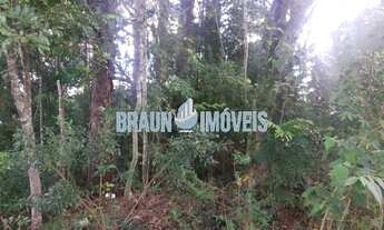 Imagem 5: Terrenos 11 x 60 na RS-20 de Gravataí na parada 73. Ótima localização podendo ser usado c