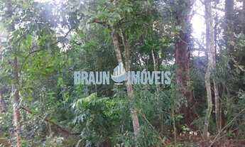 Imagem 7: Terrenos 11 x 60 na RS-20 de Gravataí na parada 73. Ótima localização podendo ser usado c