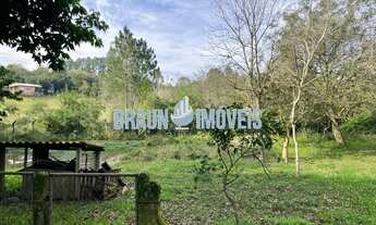 Imagem 3: Sítio plano na Loteamento Palermo na Parada 76 da RS- 20 escriturado, tudo em dia com 3300