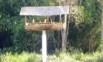 Imagem 6: 2 dormitórios Fazenda / sítio com 2 dormitórios