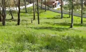 Imagem: AREA RESIDENCIAL em EMBU DAS ARTES - SP