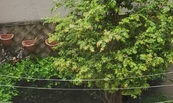 Imagem 5: SOBRADO | 3 DORMS SENDO 1 SUÍTE COM VARANDA | PQ. MONTE ALEGRE