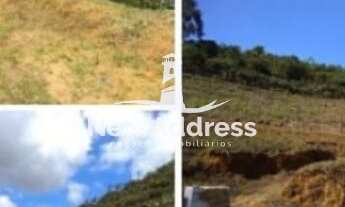 Imagem 5: Área à Venda com 2,80 Hectares com Casa e Parreiral/ES