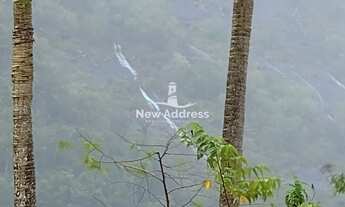 Imagem 2: Área à Venda com 2,80 Hectares com Casa e Parreiral/ES