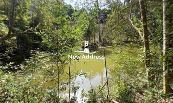 Imagem 7: Terreno com nascente à venda em Soído de Cima - Domingos Martins