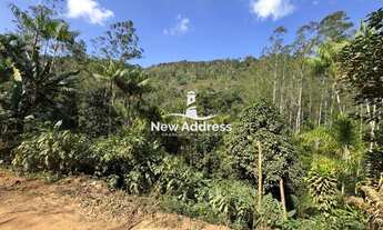 Imagem 5: Terreno com nascente à venda em Soído de Cima - Domingos Martins