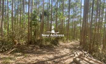 Imagem 2: Terreno à venda ao lado do Parque do China em Domingos Martins