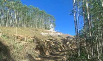 Imagem: Terreno à venda ao lado do Parque do China
