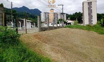 Imagem: Terreno na ilha da figueira