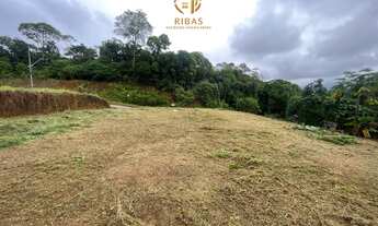 Imagem 3: Terreno bairro Ilha da Figueira