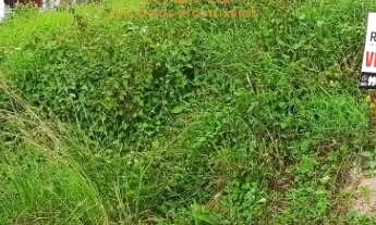 Imagem: TERRENO A VENDA NO CENTRO DE SCHROEDER-SC