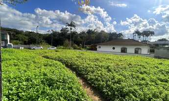 Imagem 3: Terreno bairro Jaraguá 99