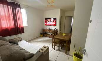 Imagem: Apartamento no bairro Ribeirão Cavalo