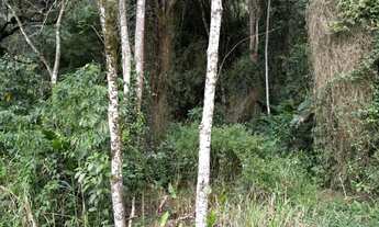 Imagem: SÍTIO A VENDA NO RIO CERRO II EM JARAGUÁ