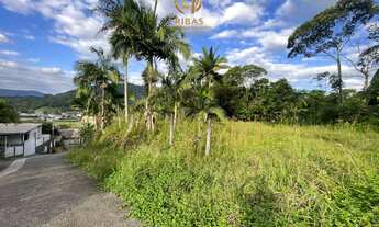 Imagem: Terreno bairro Ilha da Figueira