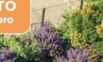 Imagem: Loteamento Schroeder Jardim de Heidelberg