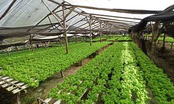 Imagem: CHACARA PARA VENDA NO RIO CERRO EM JARAGUÁ
