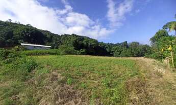 Imagem 6: CHACARA PARA VENDA NO RIO CERRO EM JARAGUÁ DO SUL