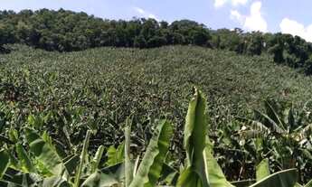Imagem 3: 55000M² de Área Total