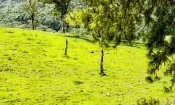 Imagem: 600M² de Área Total