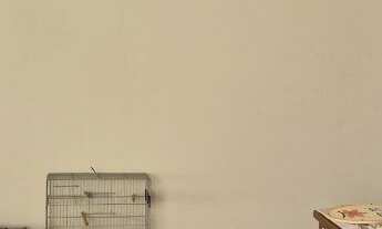 Imagem 5: Excelente oportunidade: Sala comercial de 110m² para locação no bairro Maranhão, São Paulo