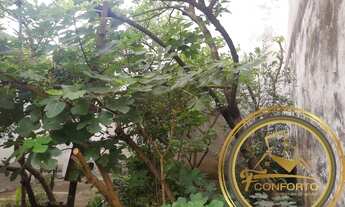 Imagem 5: Sobrado à Venda em Guarulhos-SP, Jardim Pinhal 250,00m² de Área