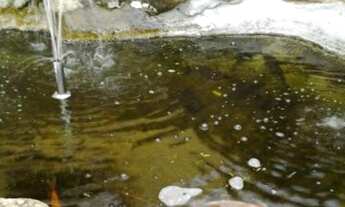 Imagem 3: Linda chácara, próximo a cidade com fácil acesso a rodovia Fernão Dias no KM 27, casa avar