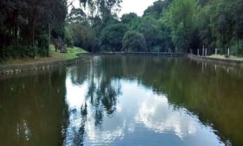 Imagem: Terreno de 14 alqueires ou 348.982M² em