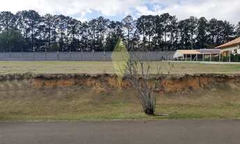 Imagem: 1029M² de Área Total