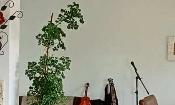 Imagem 2: CASA RESIDENCIAL em Laura de Freitas - BA, Buraquinho