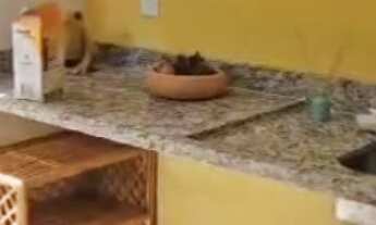 Imagem 4: CASA RESIDENCIAL em Camaçari - BA, Itacimirim