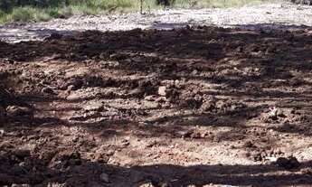 Imagem 2: TERRENO PARA ALUGAR, 550 M² POR R$ 500,00/MÊS - ABERTA DOS MORROS - PORTO ALEGRE/RS