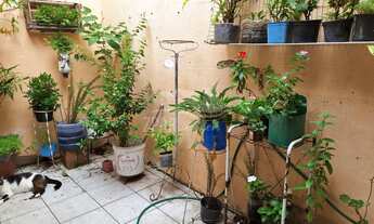 Imagem 6: Casa térrea com 2 dormitórios - Restinga, Porto Alegre