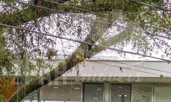 Imagem 4: Casa Luxuosa 4 Suítes à Venda no Sétimo Céu, Porto Alegre ? 480 m²