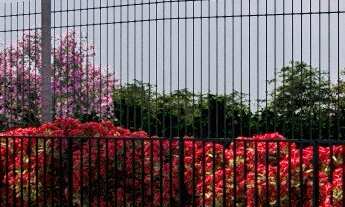 Imagem 3: EMPREENDIMENTO MINHA CASA MINHA VIDA - HÍPICA