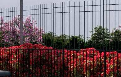 Imagem 3: EMPREENDIMENTO MINHA CASA MINHA VIDA - HÍPICA