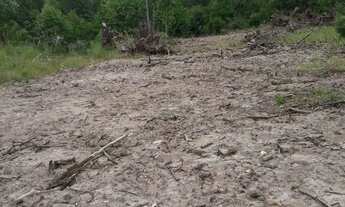 Imagem: TERRENO PARA ALUGAR, 550 M² POR R$ 500,00/MÊS