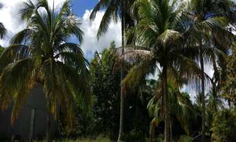 Imagem 2: FAZENDA RURAL em Conde - BA, Rio das Pedras