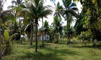 Imagem 3: FAZENDA RURAL em Conde - BA, Rio das Pedras