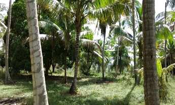 Imagem 4: FAZENDA RURAL em Conde - BA, Rio das Pedras