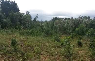Imagem 2: TERRENO COMERCIAL em Entre Rios - BA, Quilombolas