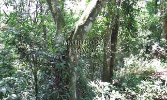 Imagem 6: Terreno na divisa entre SP/Mairiporã!