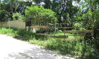 Imagem: Terreno na divisa entre SP/Mairiporã!
