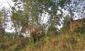 Imagem: O potencial desse terreno está à sua espera!