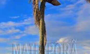 Imagem 3: A prova de que o REQUINTE e a SOFISTICAÇÃO nunca perdem o charme!