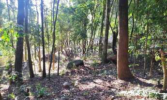 Imagem 7: TERRENO RESIDENCIAL em Mairiporã - SP, Encosta Cantareira