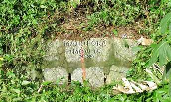 Imagem 4: OPORTUNIDADE A UM PULINHO DE SP