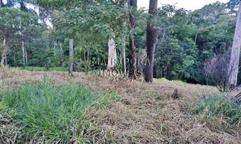 Imagem 3: 41.000m² de puro investimento!