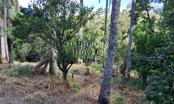 Imagem 6: 41.000m² de puro investimento!